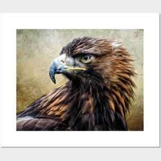 Golden Eagle Posters and Art